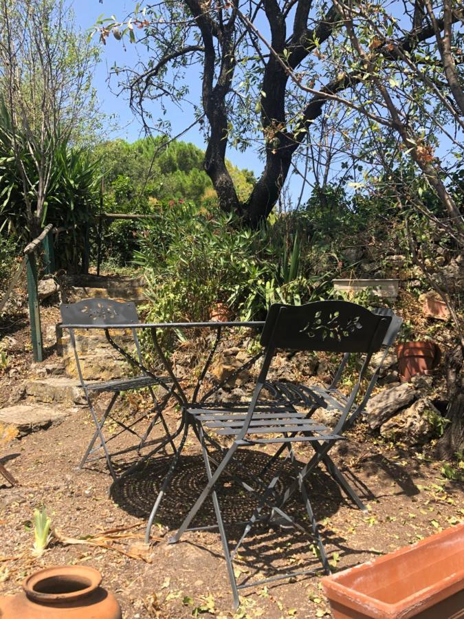 Fraissé-des-Corbières Chez Tatie Menie Bed & Breakfast エクステリア 写真