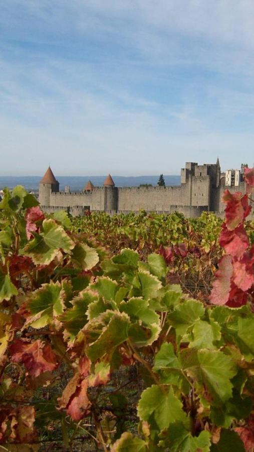 Fraissé-des-Corbières Chez Tatie Menie Bed & Breakfast エクステリア 写真