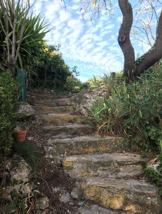 Fraissé-des-Corbières Chez Tatie Menie Bed & Breakfast エクステリア 写真